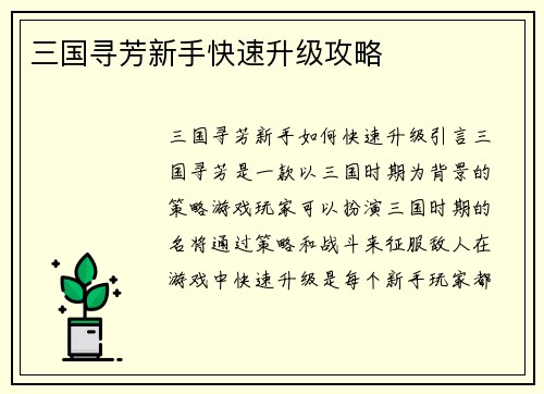 三国寻芳新手快速升级攻略